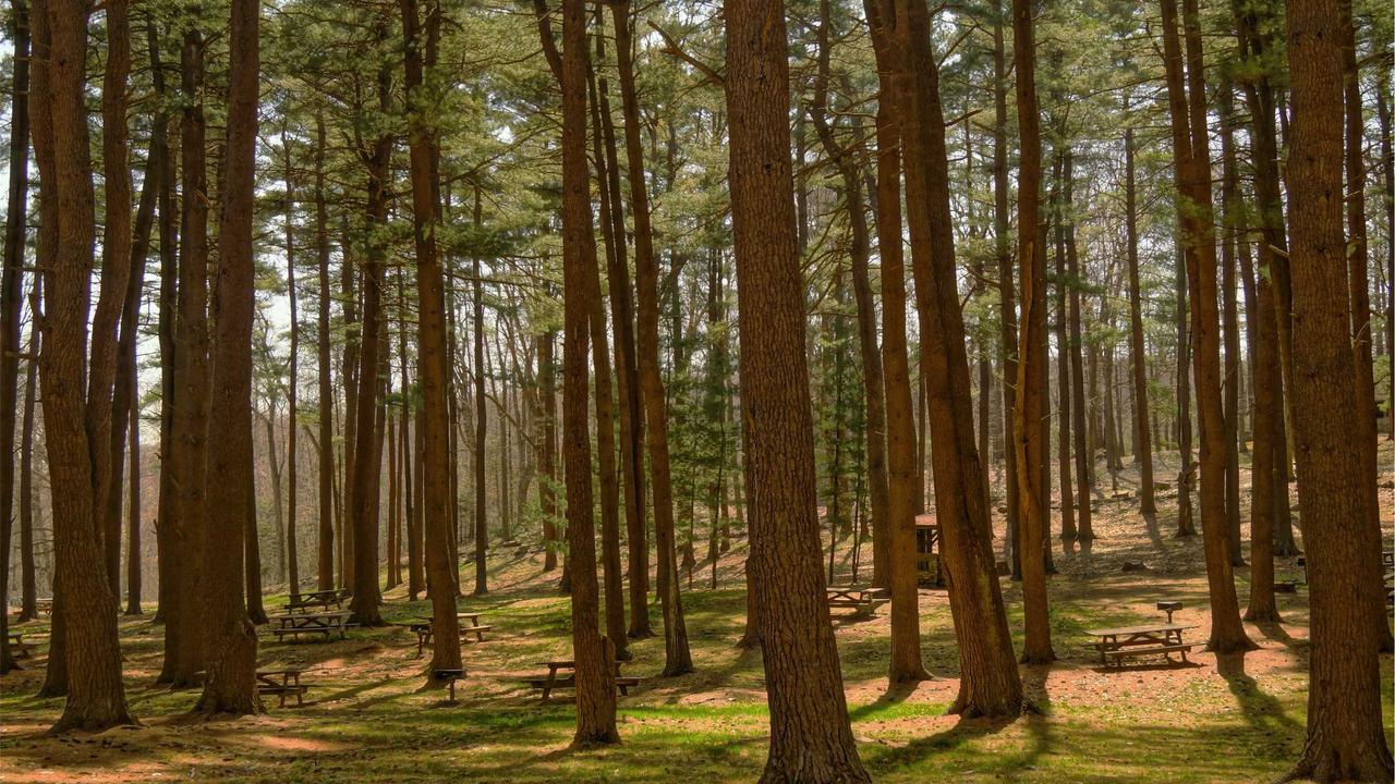 在校留学生购车指南：BNPL与汽车贷款双轨并行，如何选择最优融资方案