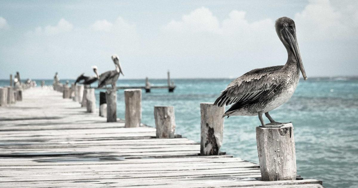 留学生建立海外信用记录