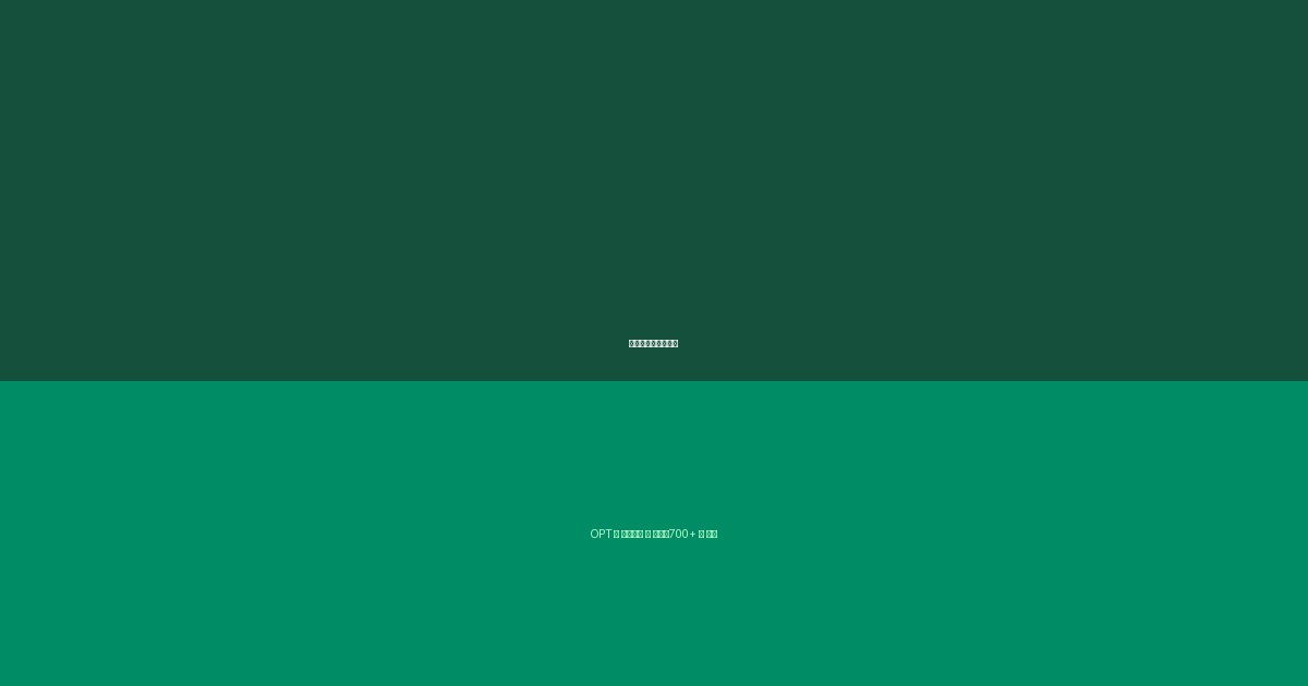 信用分提升路径